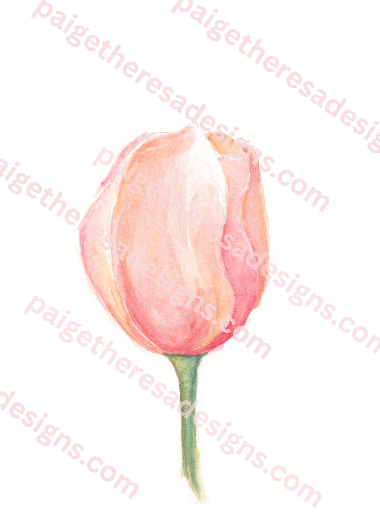 Tulip Notecard