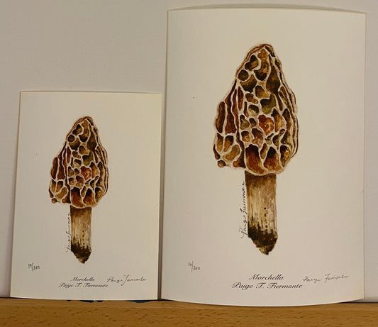 Morel Mushroom Giclée Print