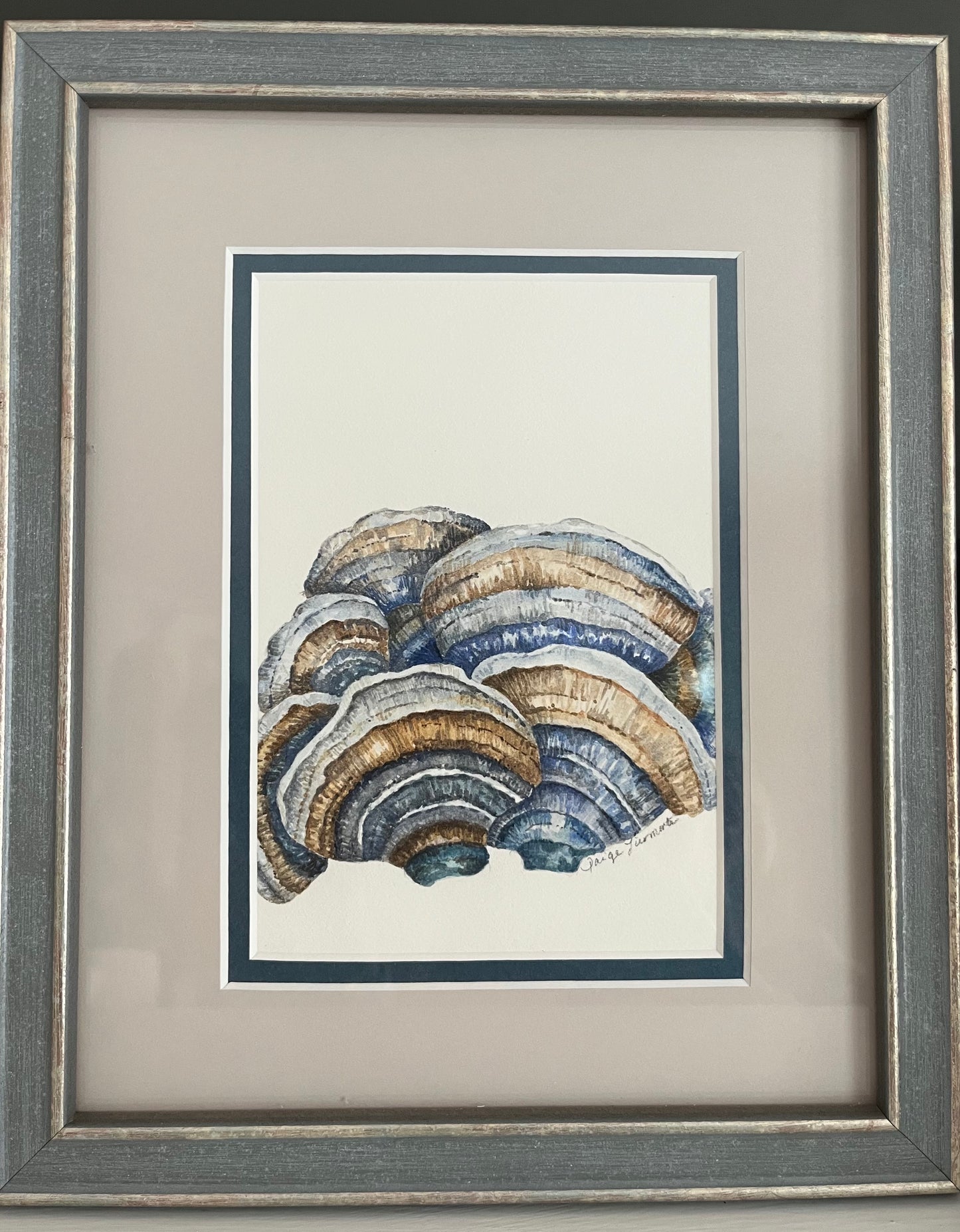 Original Turkey Tail Mushroom Watercolor Painting