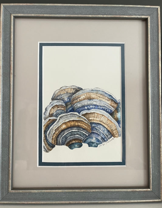 Original Turkey Tail Mushroom Watercolor Painting