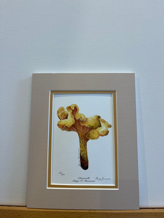 Chanterelle Mushroom Giclée Matted Print