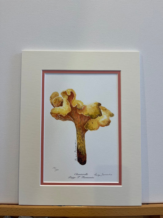 Chanterelle Mushroom Giclée Matted Print