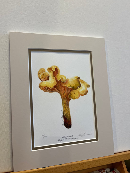 Chanterelle Mushroom Giclée Matted Print