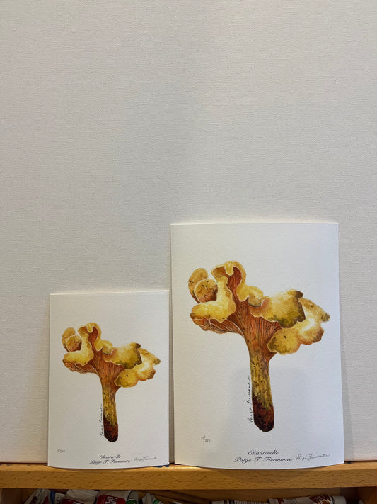 Chanterelle Mushroom Giclée Print