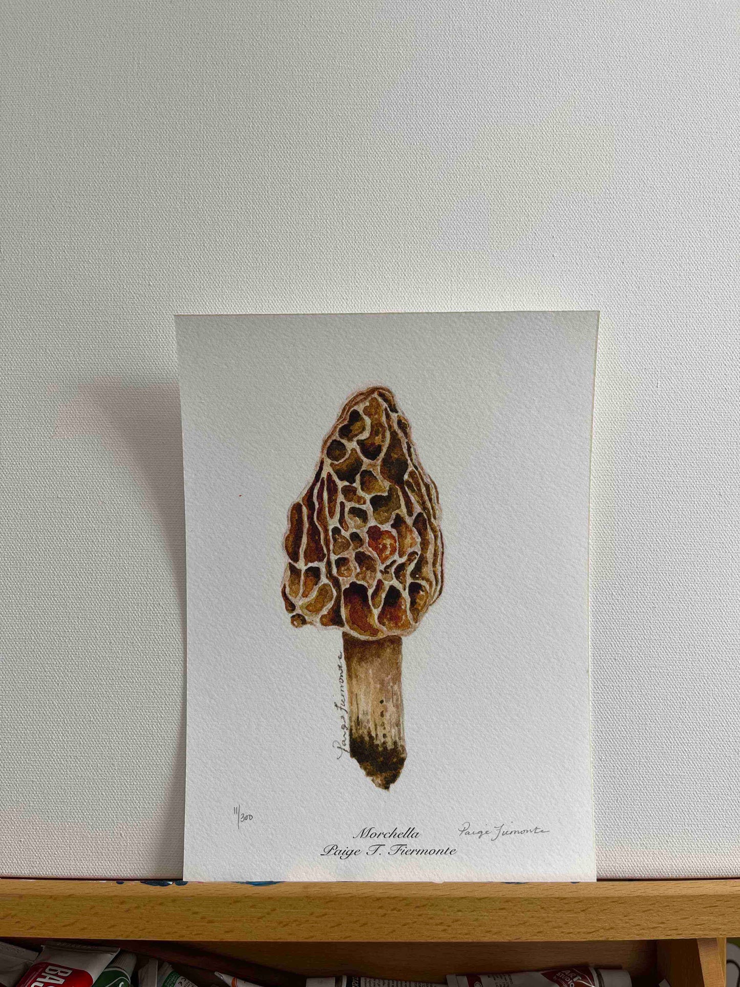 Morel Mushroom Giclée Print