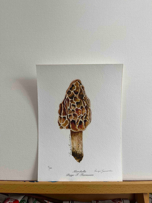 Morel Mushroom Giclée Print