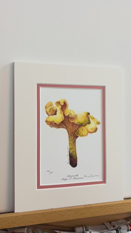 Chanterelle Mushroom Giclée Matted Print