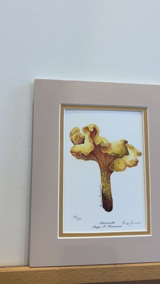 Chanterelle Mushroom Giclée Matted Print