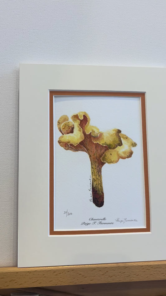 Chanterelle Mushroom Giclée Matted Print
